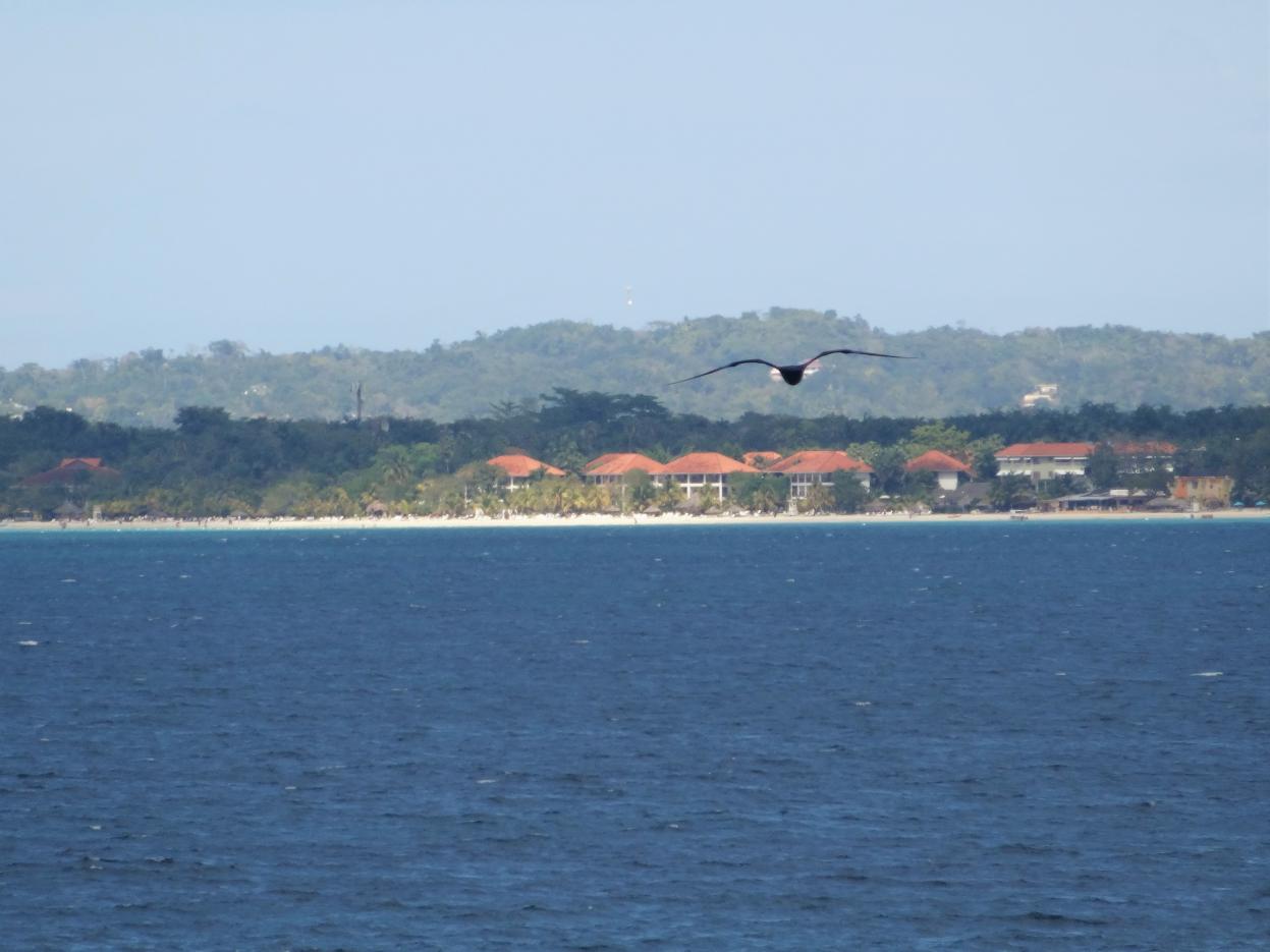 Name: DSC03891.jpg
Views: 698
Size: 85.3 KB