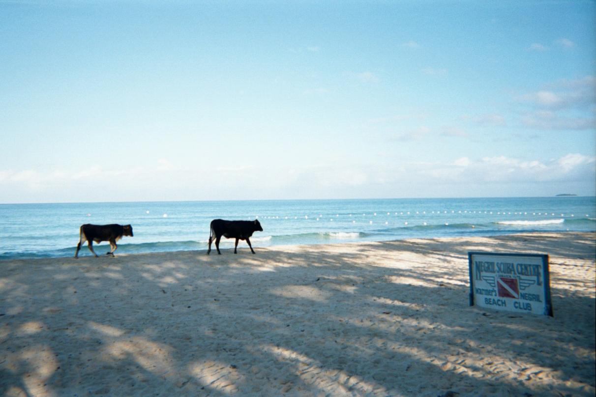 Name: 018_15A.jpg
Views: 742
Size: 92.1 KB