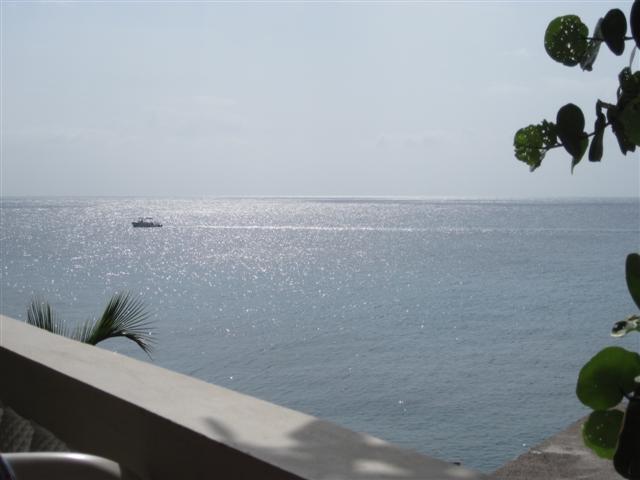 Click image for larger version. 

Name:	Jamaica June 2011 - 499 (Small).jpg 
Views:	555 
Size:	31.3 KB 
ID:	2674