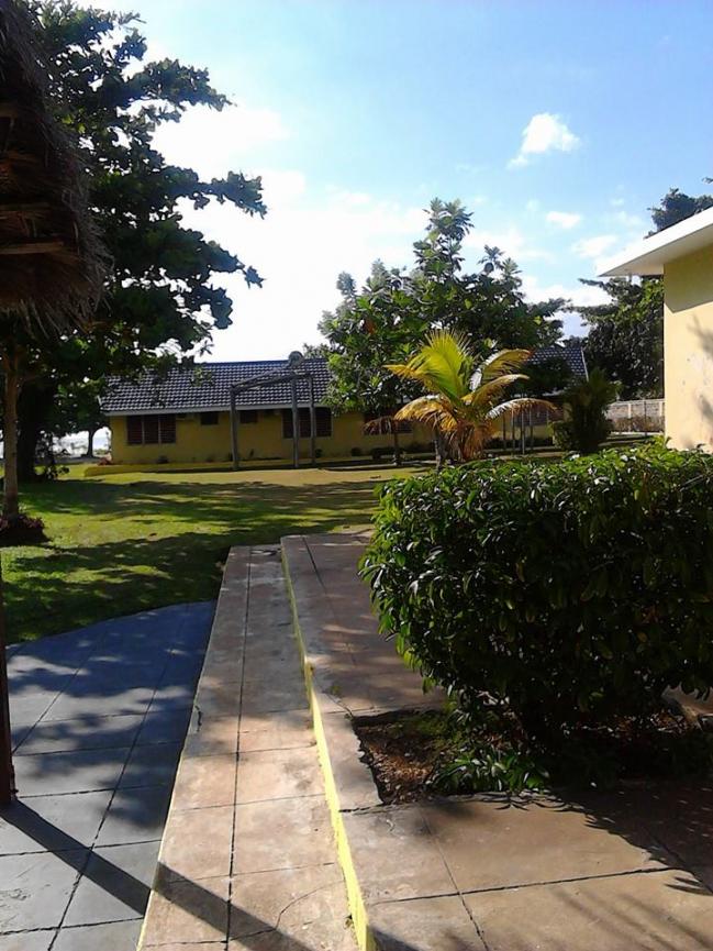 Name: Shadows of the evening.jpg
Views: 313
Size: 96.0 KB