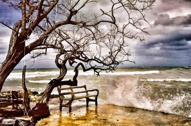 Name: 088.jpg
Views: 966
Size: 68.1 KB