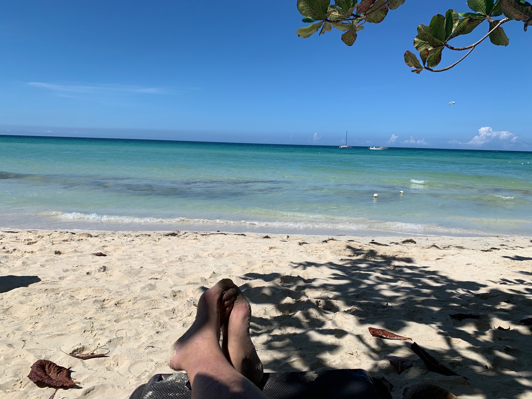 Name: shade.jpg
Views: 5486
Size: 716.7 KB