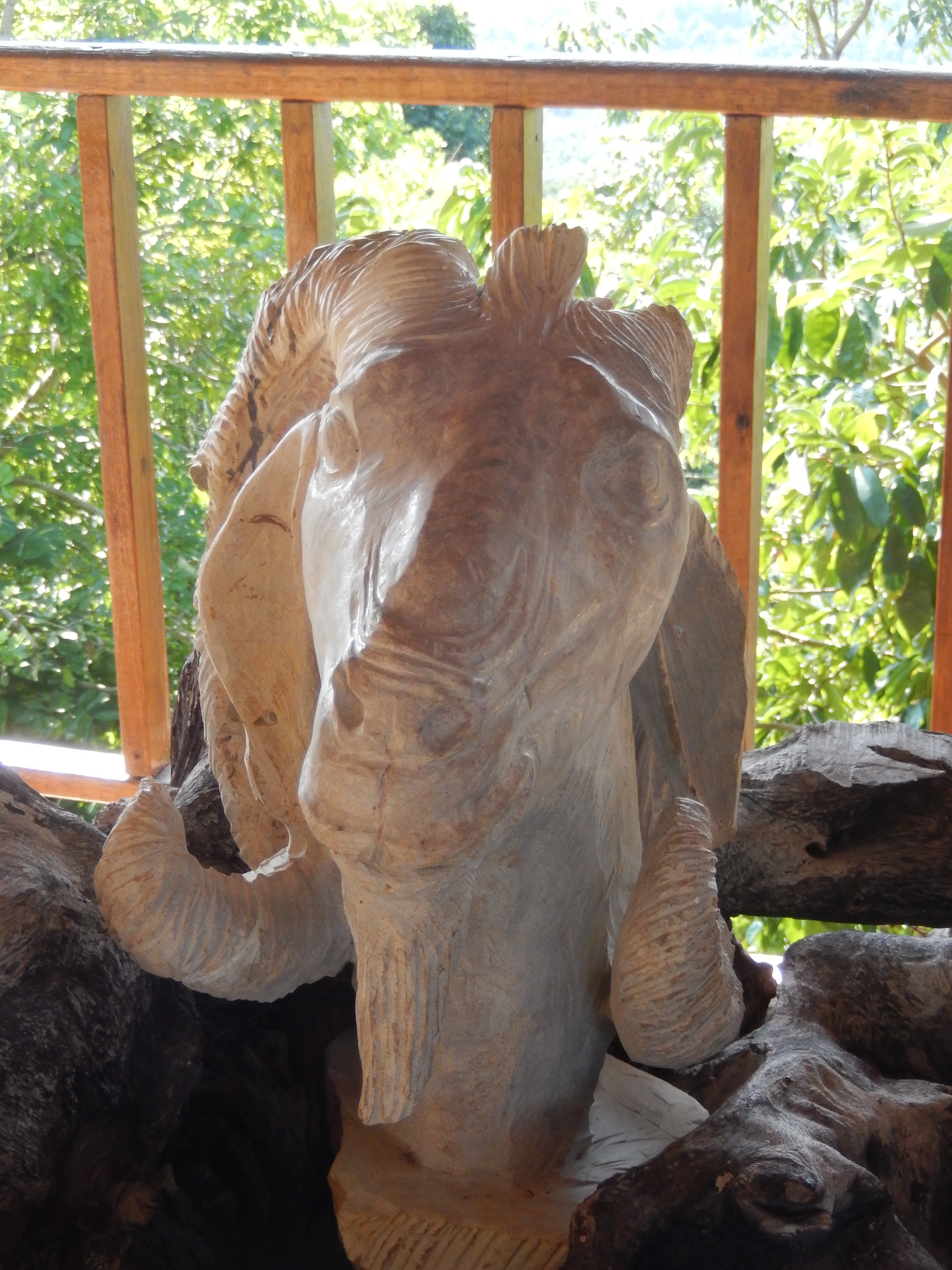 Name: DSCN7560.JPG
Views: 1122
Size: 3.16 MB