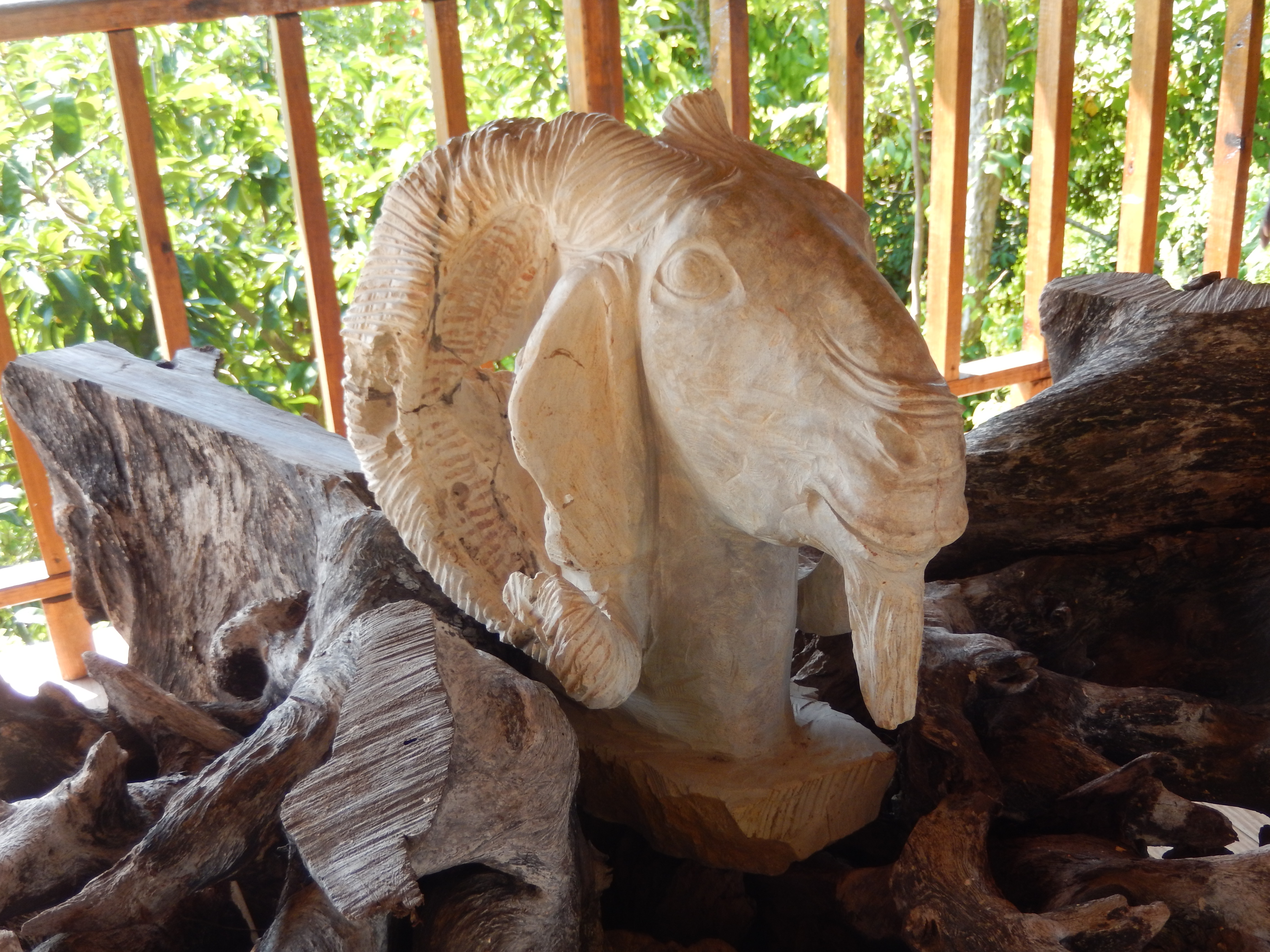 Name: DSCN7561.JPG
Views: 1211
Size: 3.43 MB