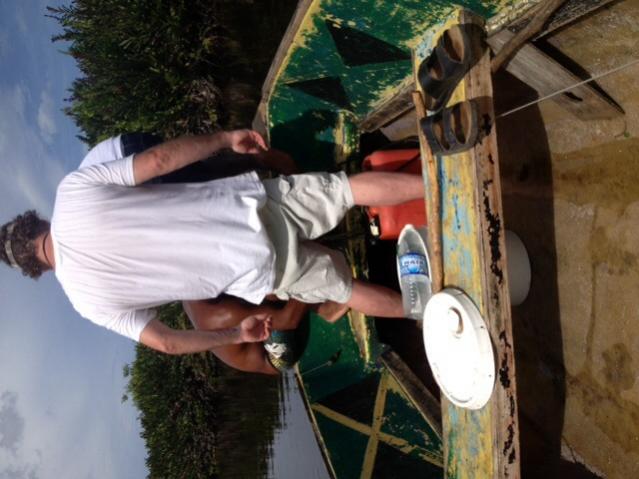 Name: image.jpg
Views: 290
Size: 45.0 KB