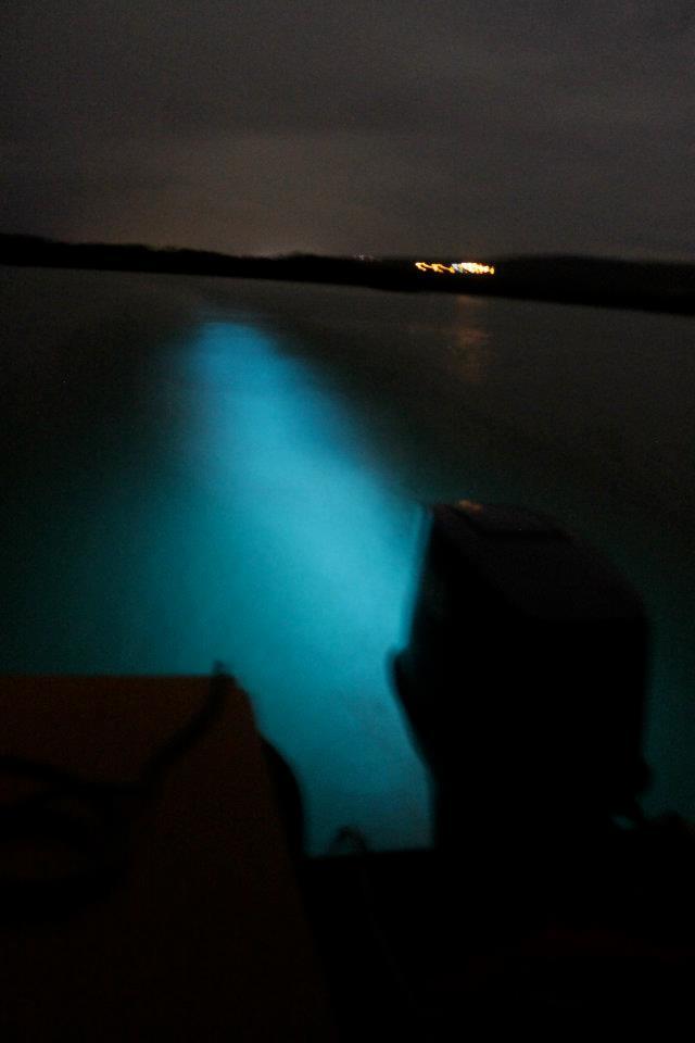 Name: gw2.JPG
Views: 362
Size: 33.2 KB