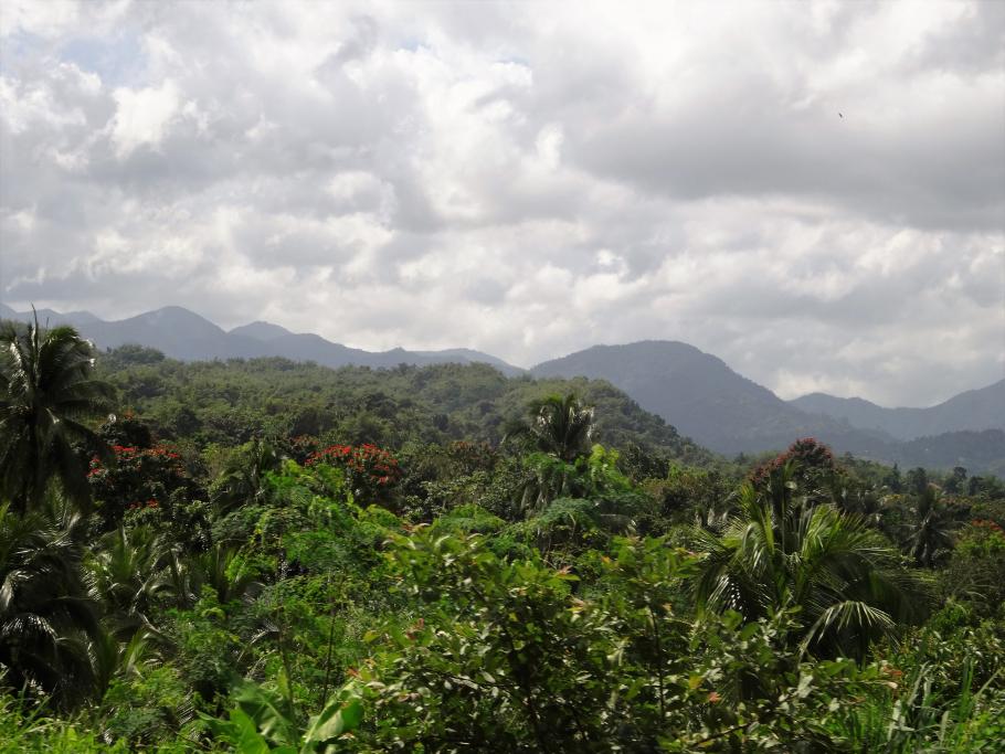 Name: DSC05747.jpg
Views: 8532
Size: 95.1 KB