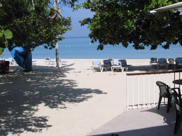 Name:  Jamaica 2009 and more 023.JPG
Views: 1010
Size:  62.8 KB