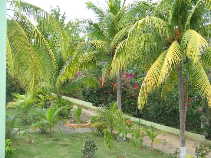 Name:  HP Gardens.jpg
Views: 1188
Size:  99.6 KB