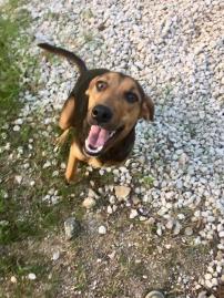 Name: BB3BAA8B-37B6-4DCD-9313-245A467DA780.jpg
Views: 1397
Size: 19.8 KB