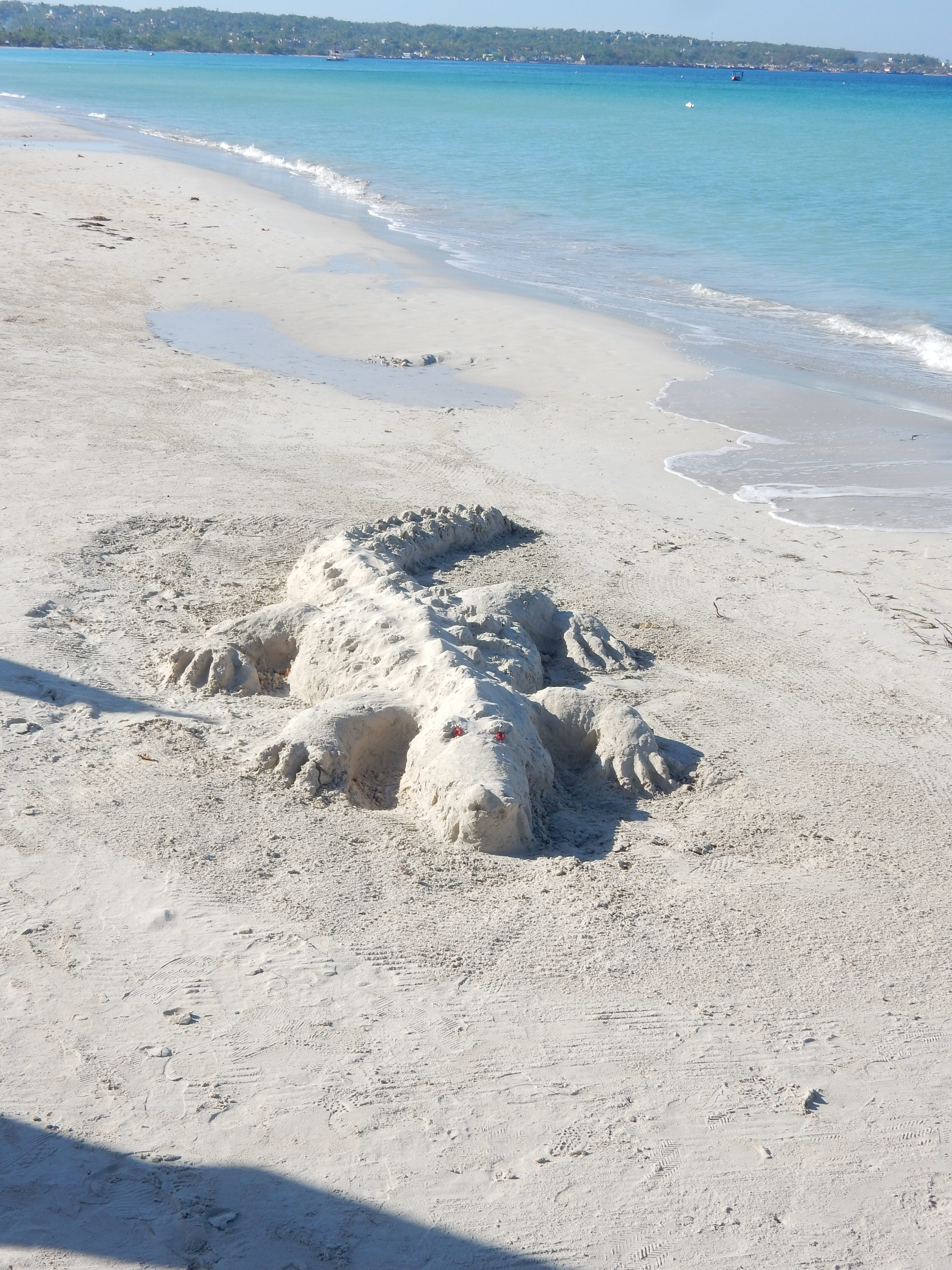 Name: DSCN8563.JPG
Views: 344
Size: 2.97 MB