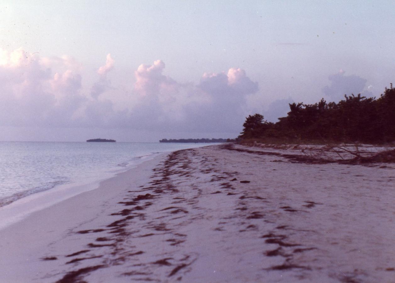 Name:  Beach at Dusk.jpg
Views: 486
Size:  92.9 KB