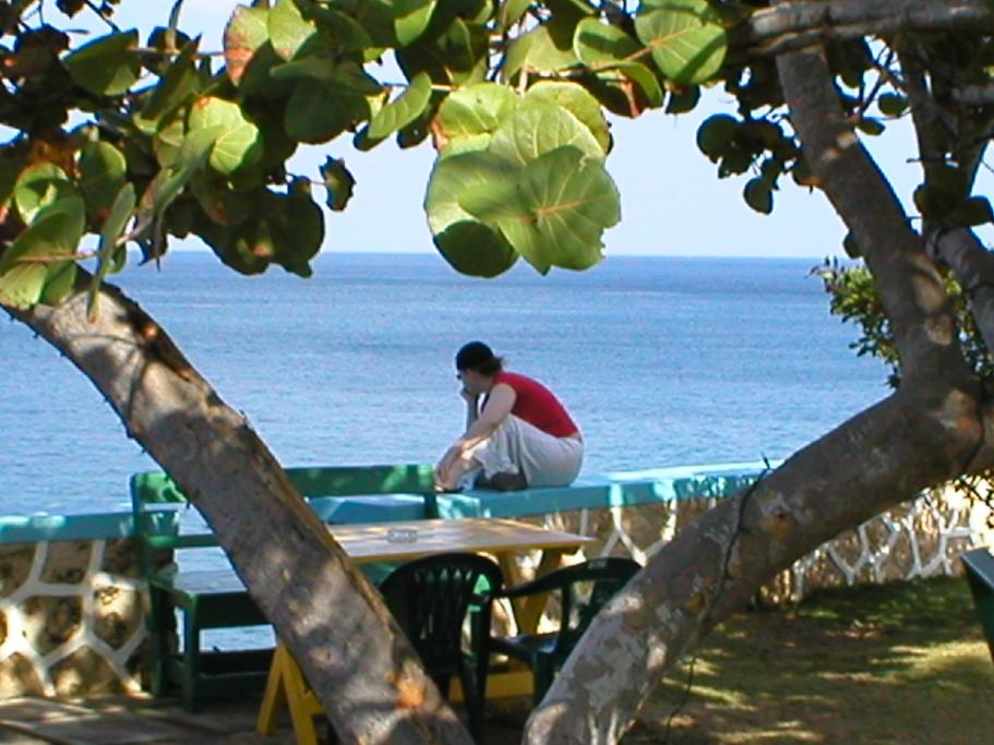 Name: 02-12-13P1010150.jpg
Views: 11340
Size: 91.5 KB