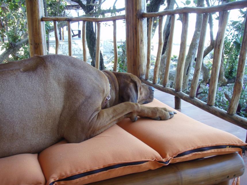 Name: P4270613.jpg
Views: 871
Size: 96.3 KB