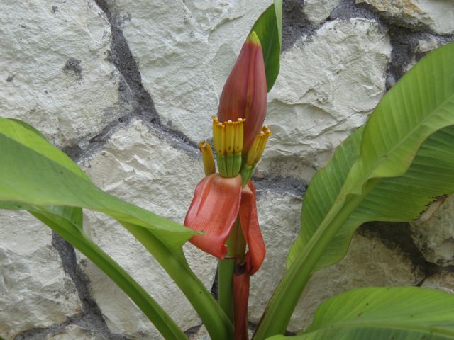 Name: P4280704.jpg
Views: 975
Size: 60.3 KB