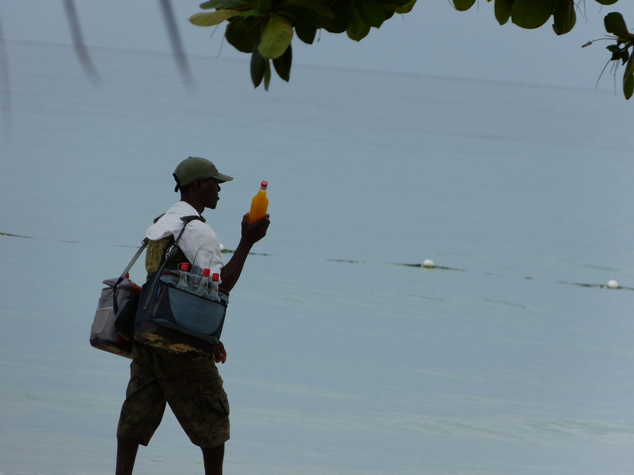 Name: P1000188.jpg
Views: 385
Size: 70.3 KB