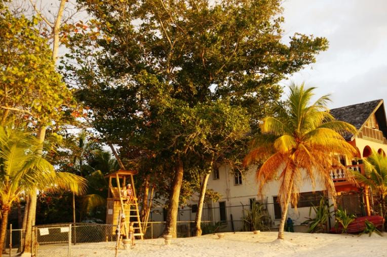 Name:  Jamaica 2013 LD Beach.jpg
Views: 1088
Size:  100.4 KB