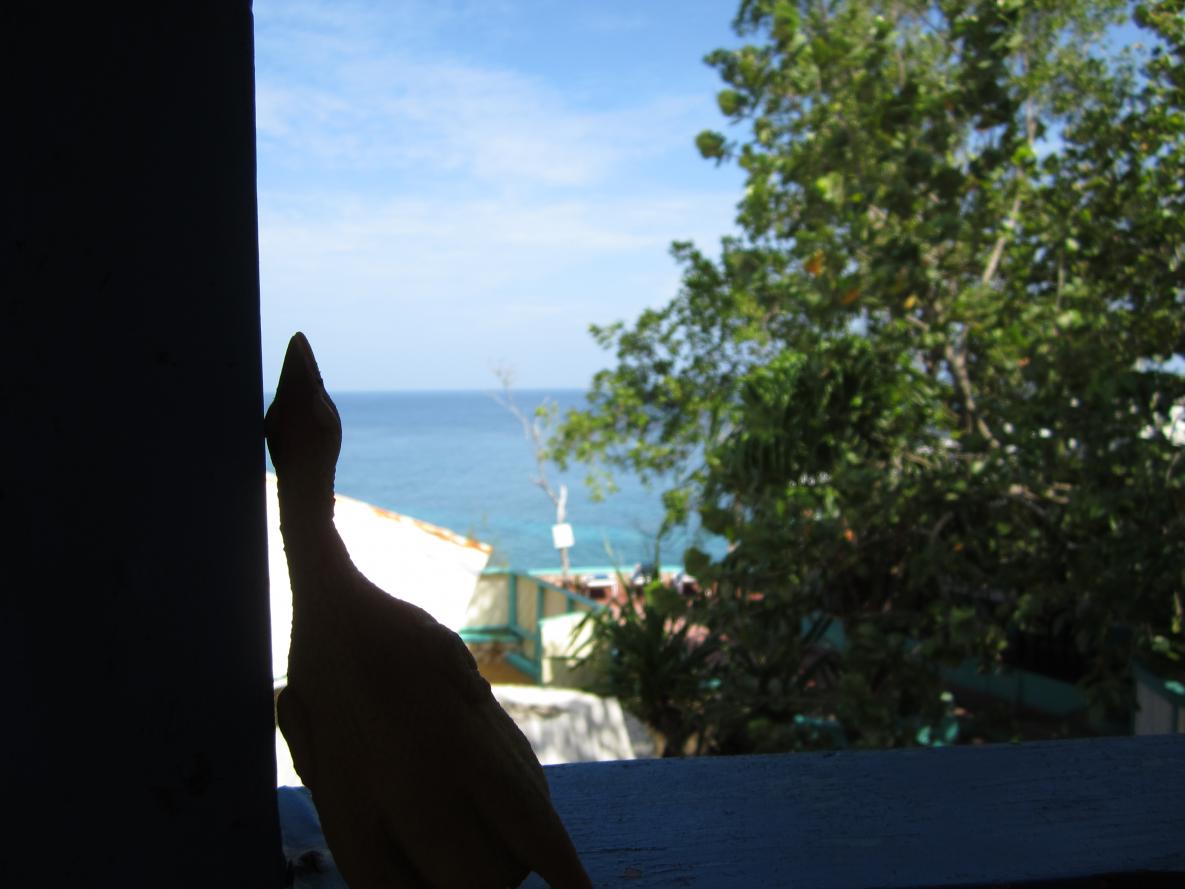 Name: IMG_0469.jpg
Views: 1012
Size: 80.6 KB