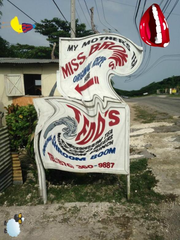 Name: teddwoohoo2.jpg
Views: 764
Size: 88.4 KB