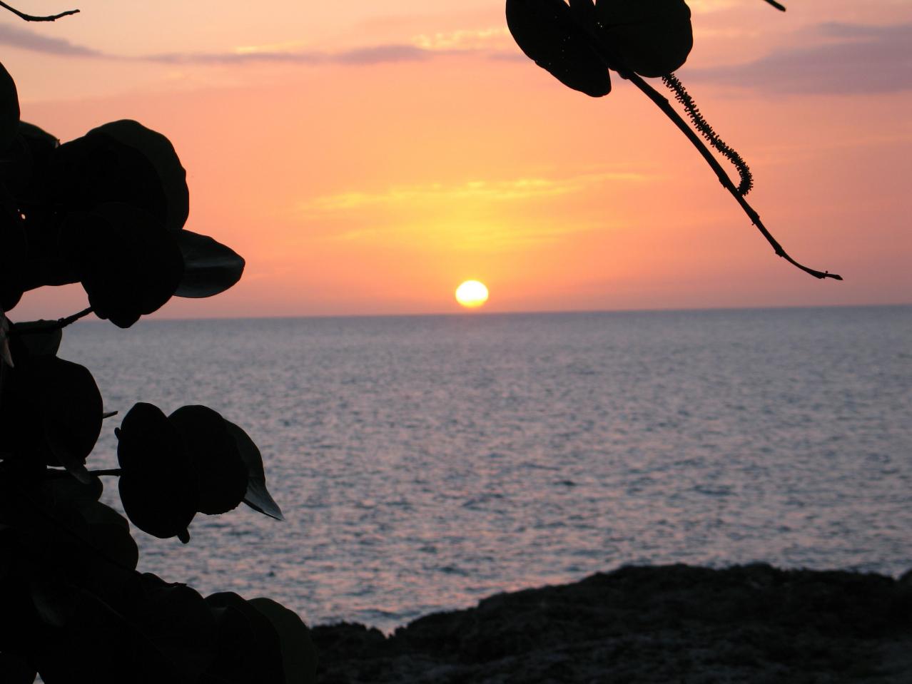 Name: IMG_0896.jpg
Views: 1074
Size: 78.0 KB