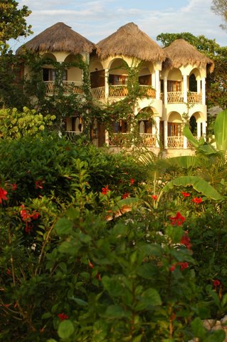 Name: DSC_1883.JPG
Views: 326
Size: 57.1 KB