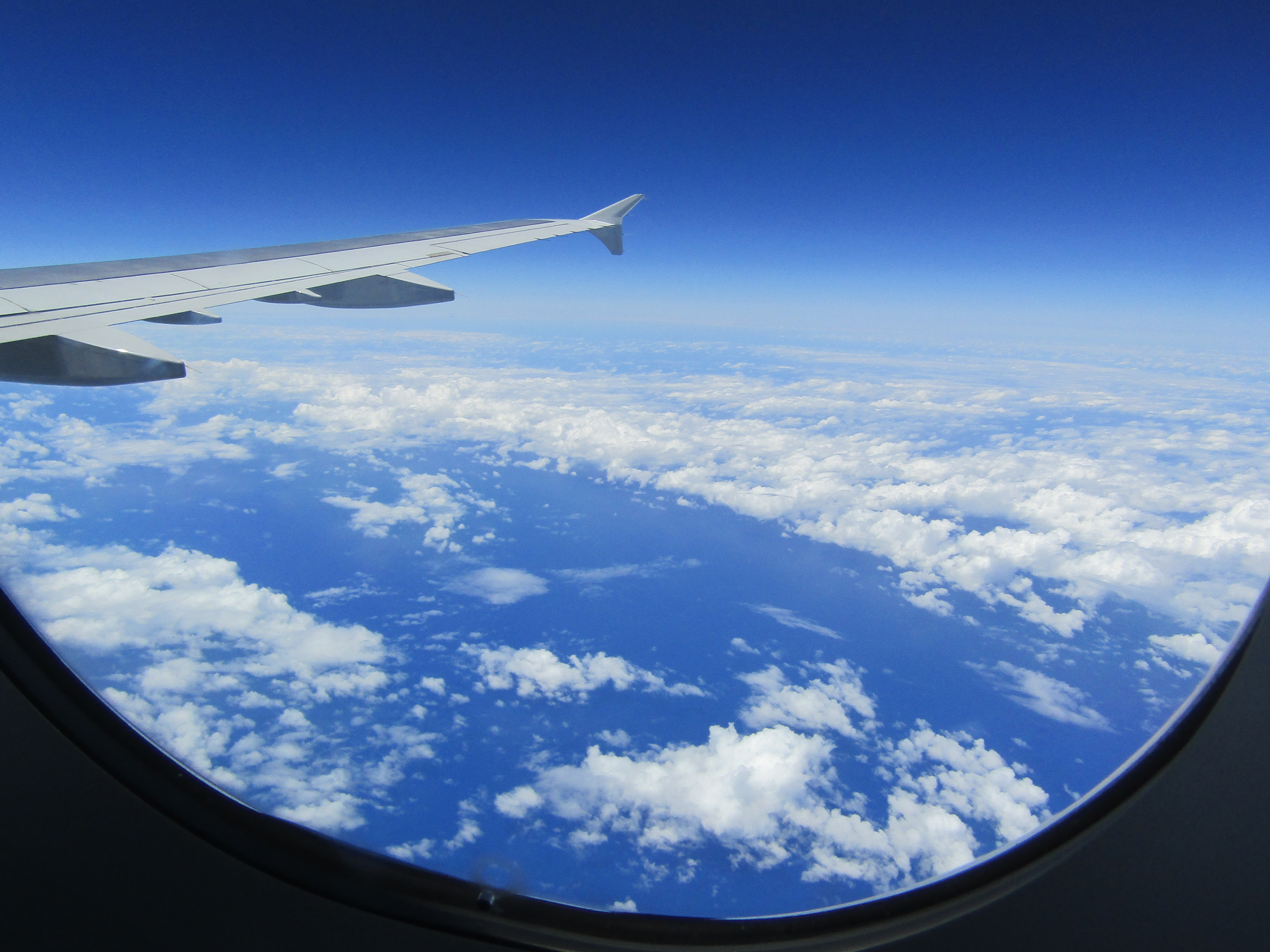 Name:  IMG_0009.JPG
Views: 2961
Size:  4.57 MB