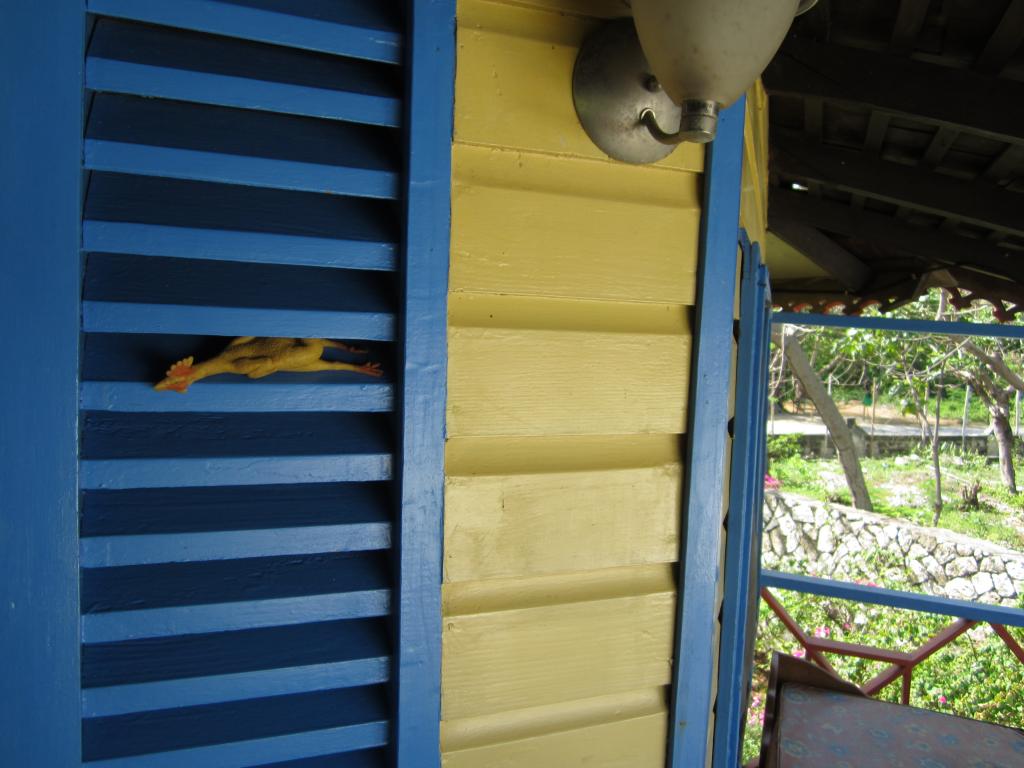 Name: IMG_0470.jpg
Views: 1058
Size: 88.4 KB