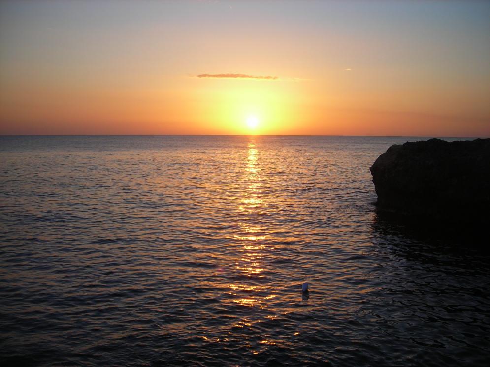 Click image for larger version.
Name: DSCN2615.jpg
Views: 912
Size: 94.3 KB
ID: 1362