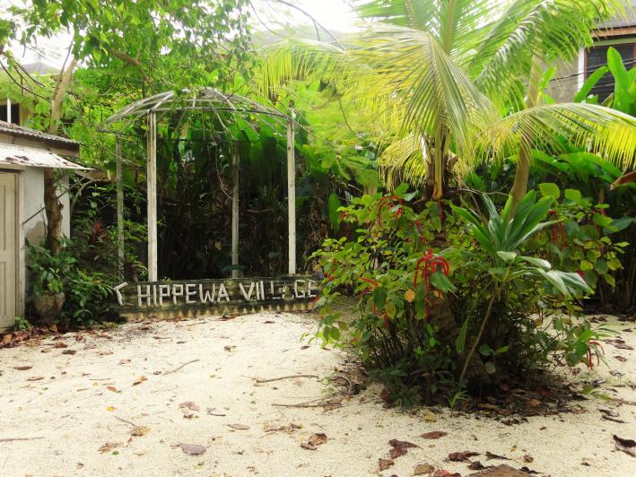 Name: DSC03360.jpg
Views: 2006
Size: 99.6 KB