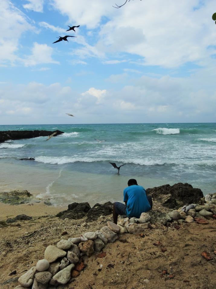 Name: DSC03295.jpg
Views: 1035
Size: 94.4 KB