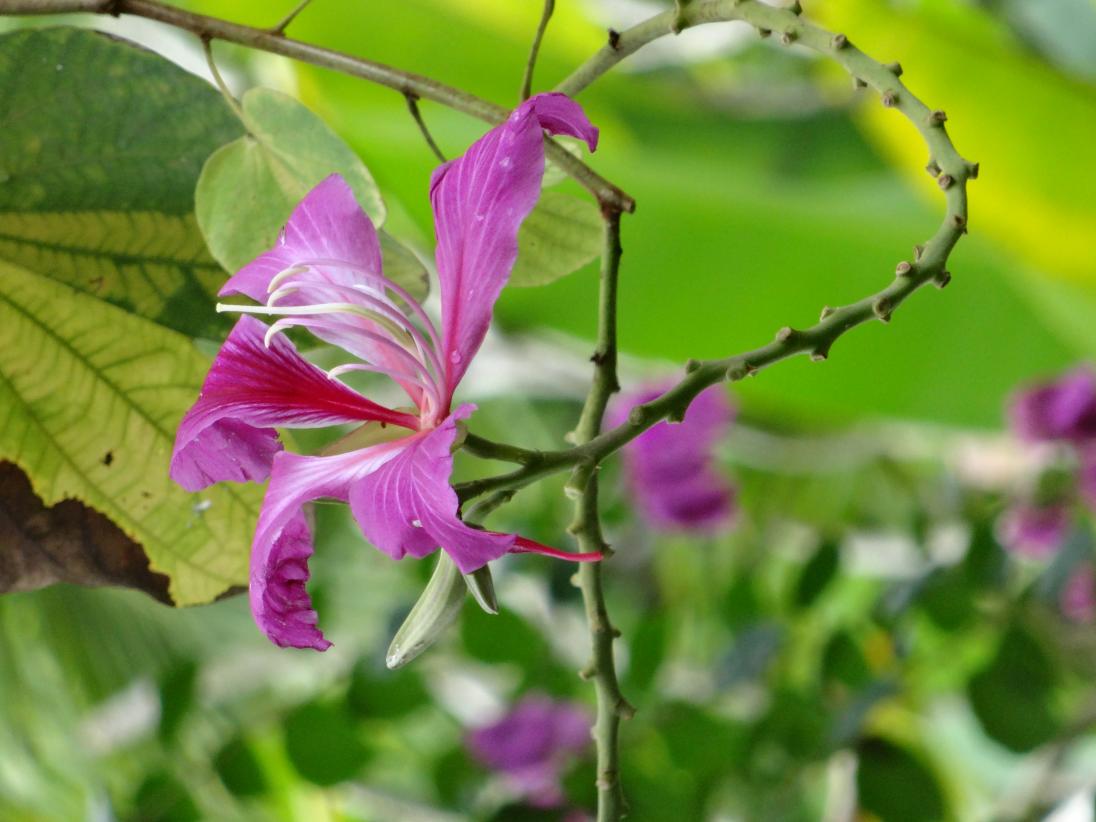 Name: DSC03358.jpg
Views: 1035
Size: 85.0 KB