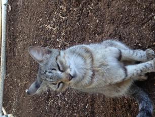 Name: image.jpg
Views: 954
Size: 20.0 KB