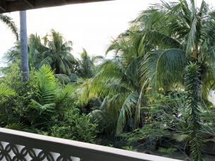 Name: FFE1BC0E-DB1C-4E70-B61F-6AB8DE89D278.jpg
Views: 854
Size: 19.9 KB