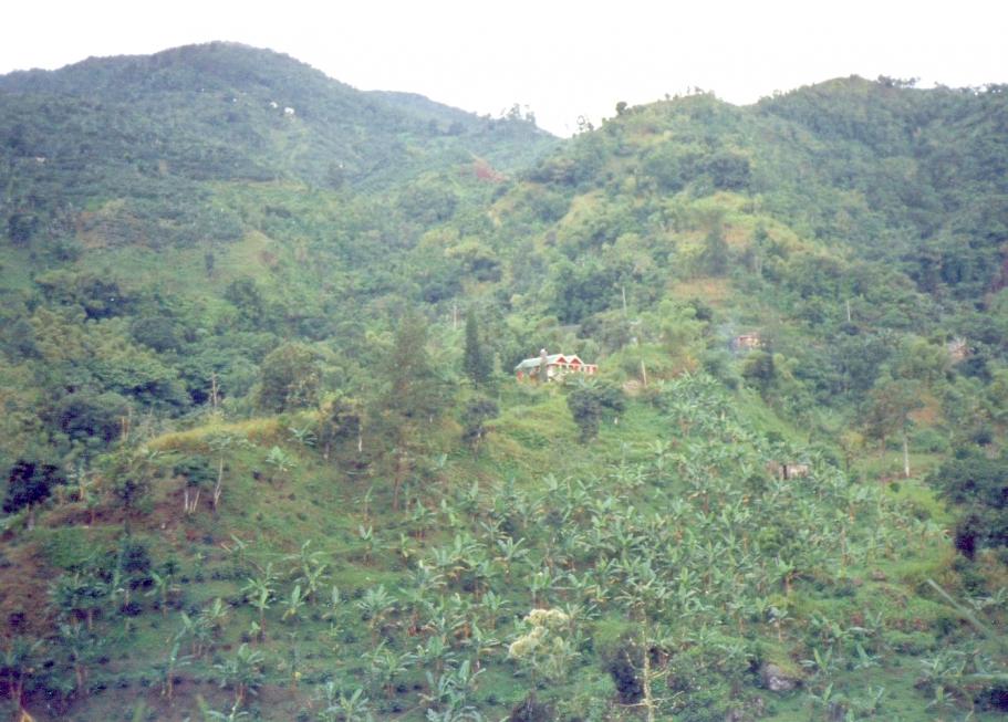 Name:  Green Hill Red House.jpg
Views: 885
Size:  96.2 KB