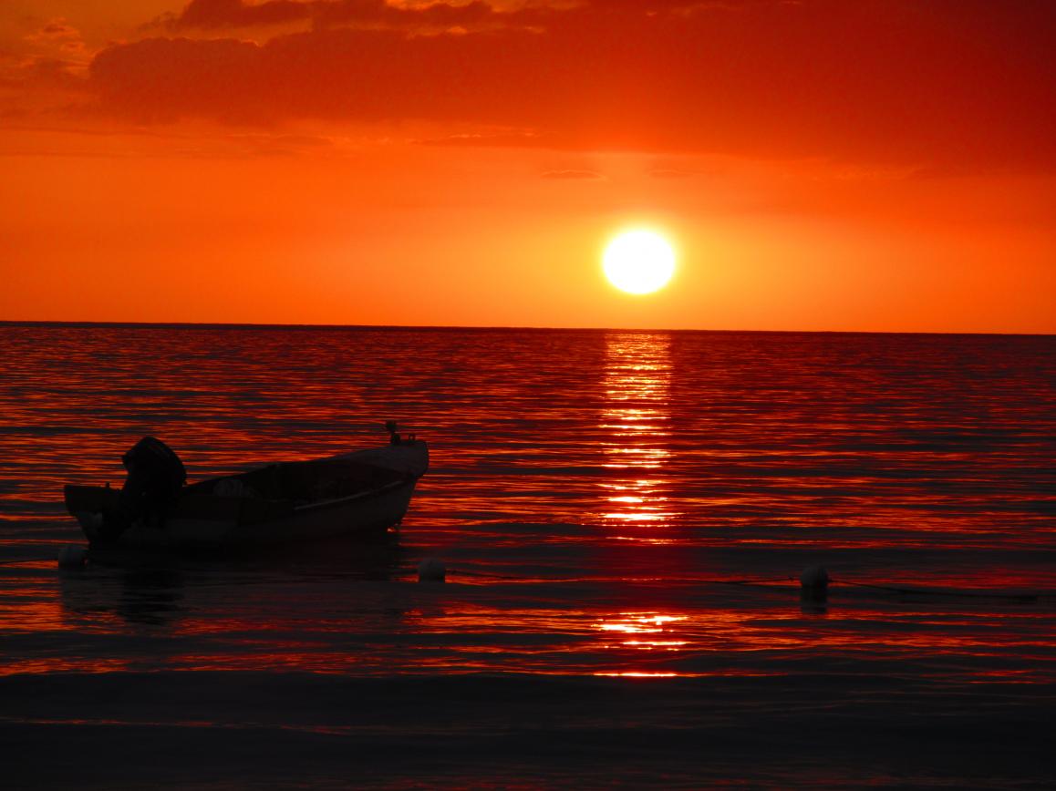 Name: IMG_0028.jpg
Views: 912
Size: 89.9 KB