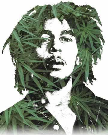Name:  508013_Bob-Marley--Leaves.jpg
Views: 304
Size:  24.6 KB