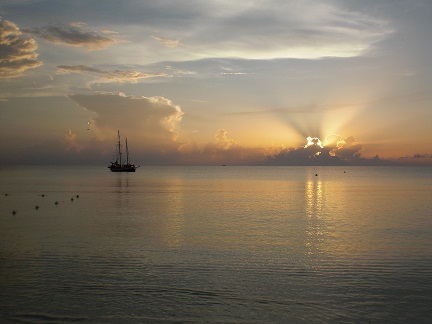 Name:  negril june 2010 011.JPG
Views: 769
Size:  75.0 KB