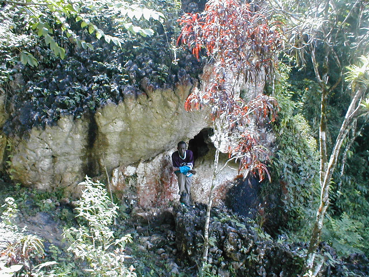 Name:  700 Marshall Peace Cave.jpg
Views: 478
Size:  263.7 KB