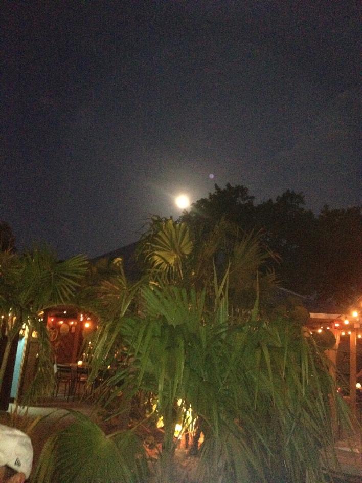 Name: 042.jpg
Views: 612
Size: 98.7 KB