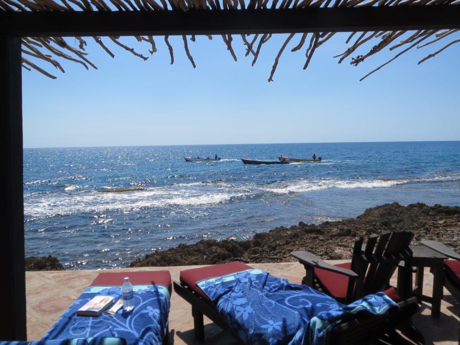 Name: IMG_0374.jpg
Views: 442
Size: 94.6 KB