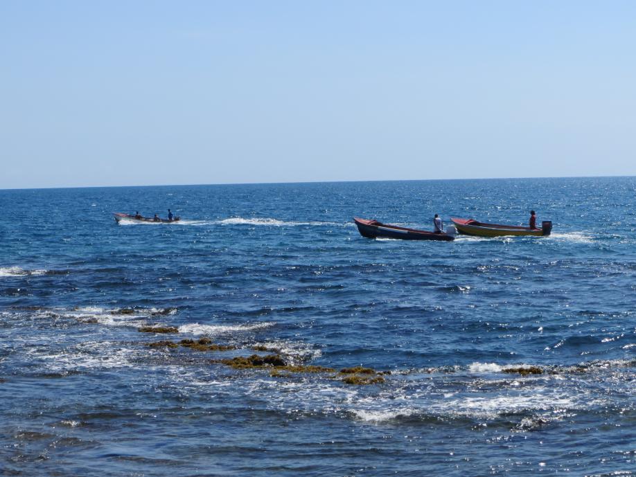 Name: IMG_0376.jpg
Views: 446
Size: 95.9 KB