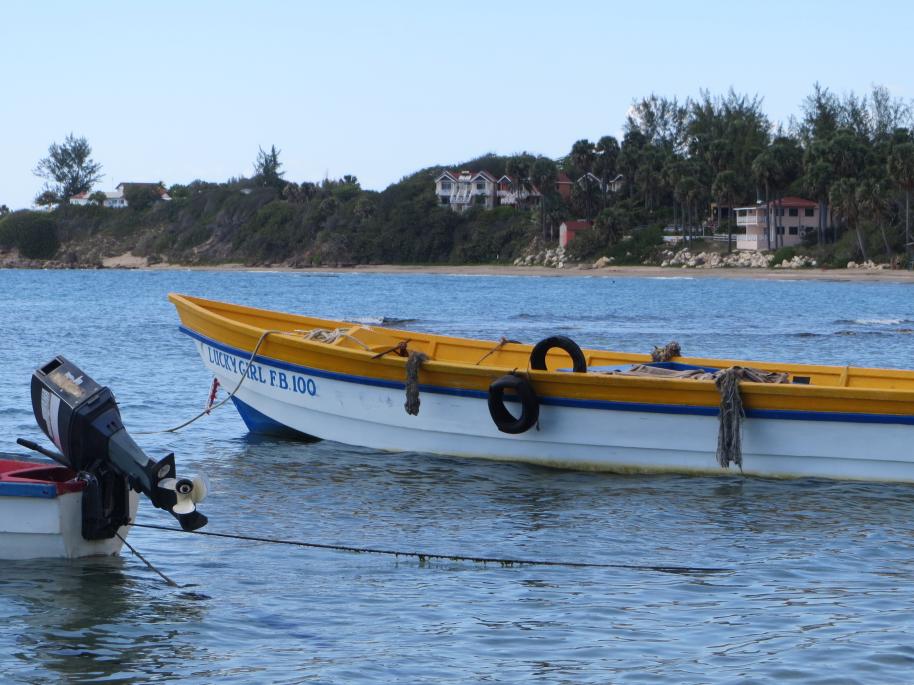 Name: IMG_0377.jpg
Views: 416
Size: 94.7 KB