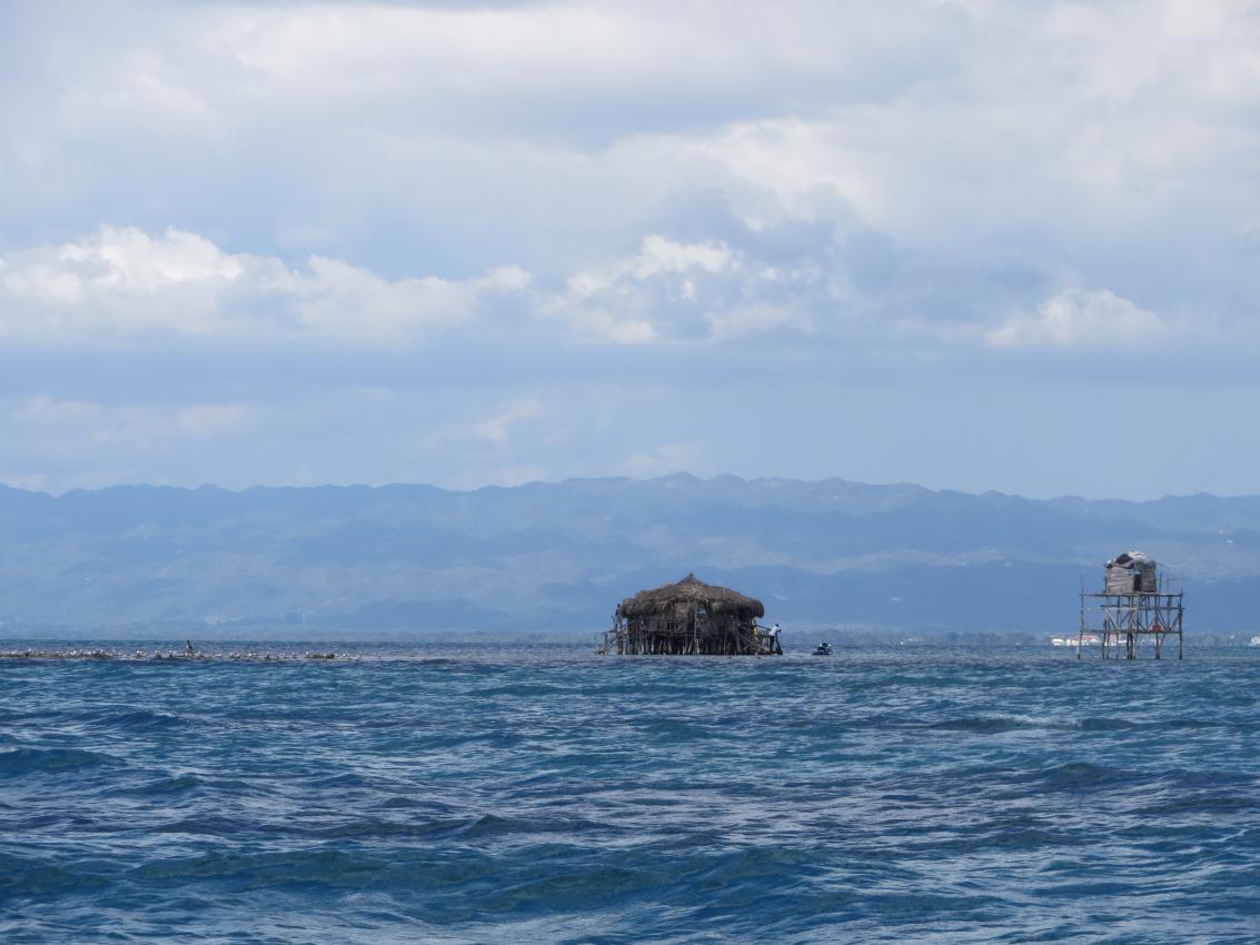 Name: IMG_0400.jpg
Views: 429
Size: 91.0 KB