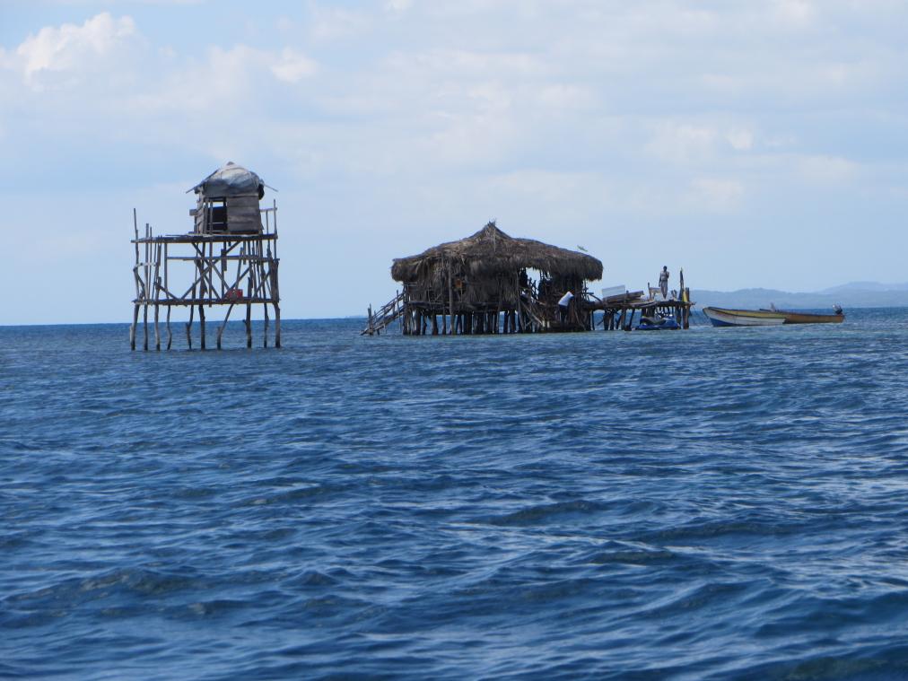 Name: IMG_0403.jpg
Views: 413
Size: 91.5 KB