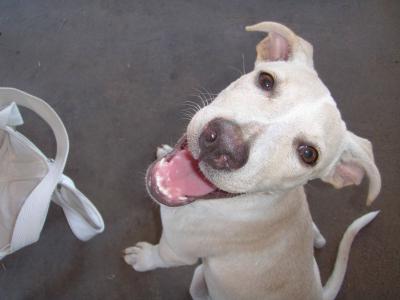 Name: resized_image.jpg
Views: 382
Size: 14.2 KB