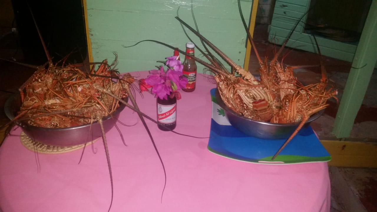 Name: IMG-20200208-WA0010.jpg
Views: 698
Size: 81.1 KB