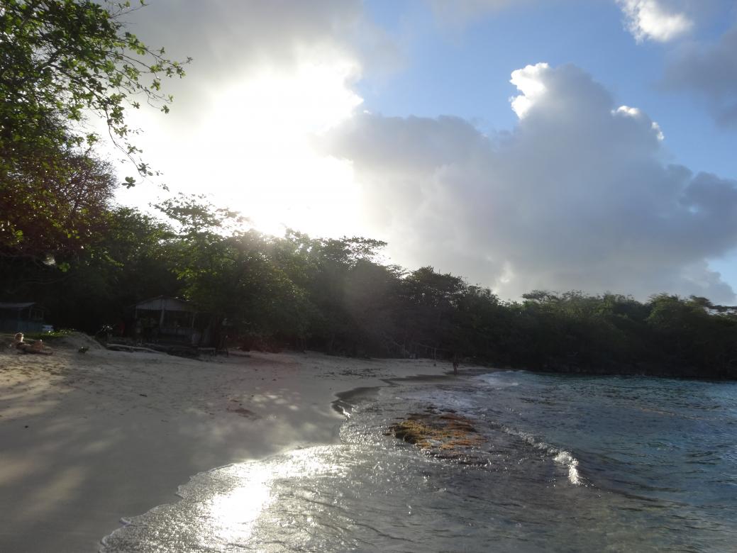 Name: DSC05648.jpg
Views: 6732
Size: 92.3 KB