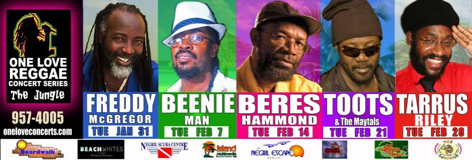 Name: concertjungle.jpg
Views: 317
Size: 77.5 KB