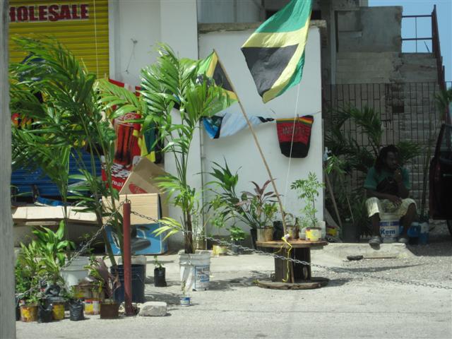 Name:  Jamaica June 2011 - 074 (Small).jpg
Views: 298
Size:  65.8 KB