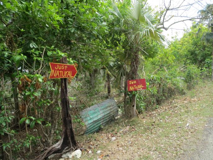 Name: IMG_0261.jpg
Views: 685
Size: 99.9 KB